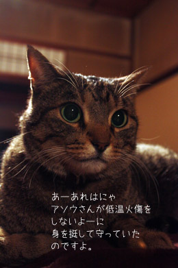 e0156015_0124133.jpg