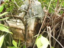 a0043520_021378.jpg