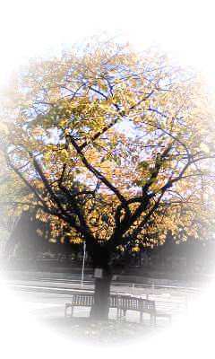 c0141726_23144051.jpg
