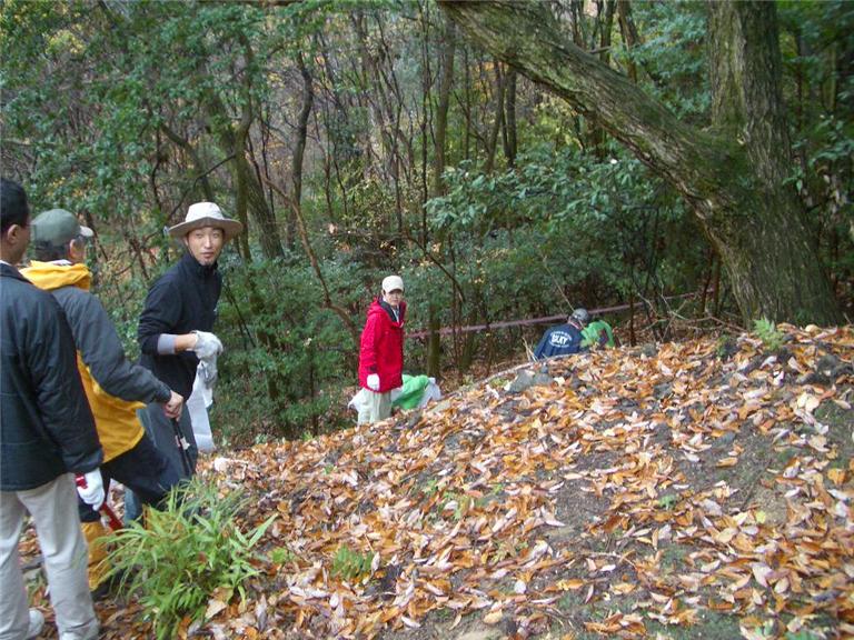 第６回箕面の山大掃除大作戦　Ｂ３・才が原林道_f0009128_15544792.jpg