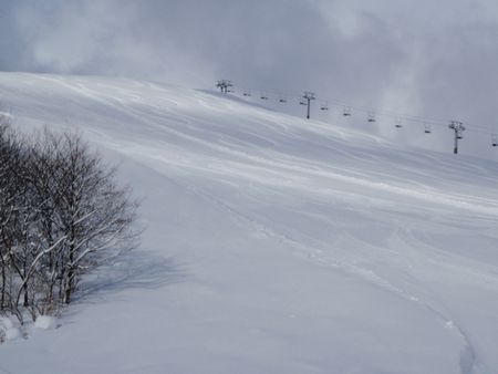 b0156430_17232269.jpg