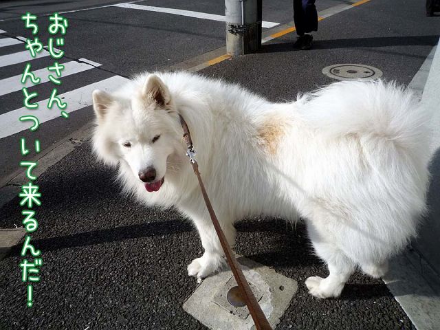 晴れのち雨_c0062832_1854834.jpg