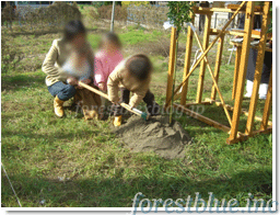 c0217535_1744070.gif