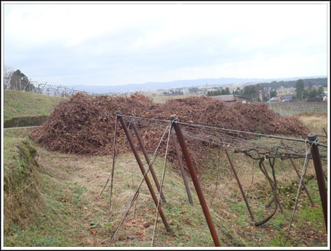 新潟 『岩の原葡萄園』_c0140044_15541543.jpg