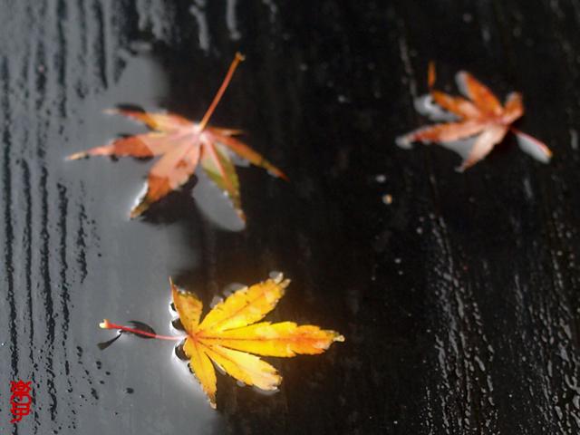 雨の湖西～湖北めぐり旅②_e0097746_2248354.jpg