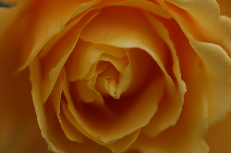 c0193648_10471846.jpg