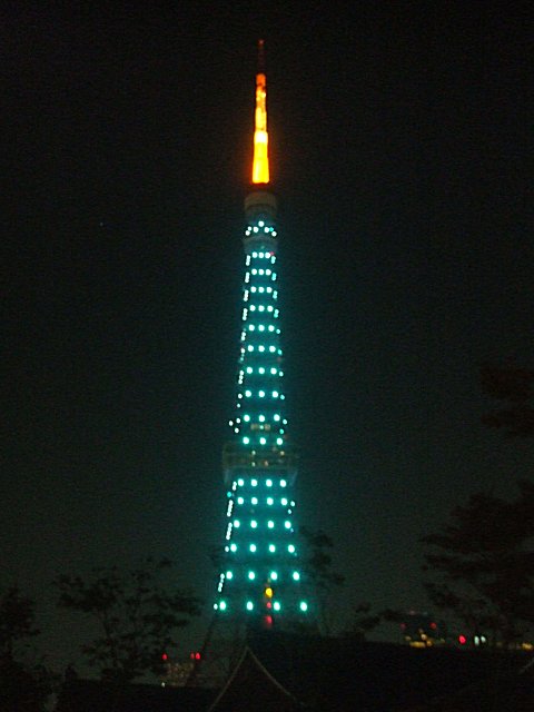 緑の東京タワー（ニュージーランド観光PR グリーン・ ダイヤモンドヴェール）_a0015766_22433671.jpg