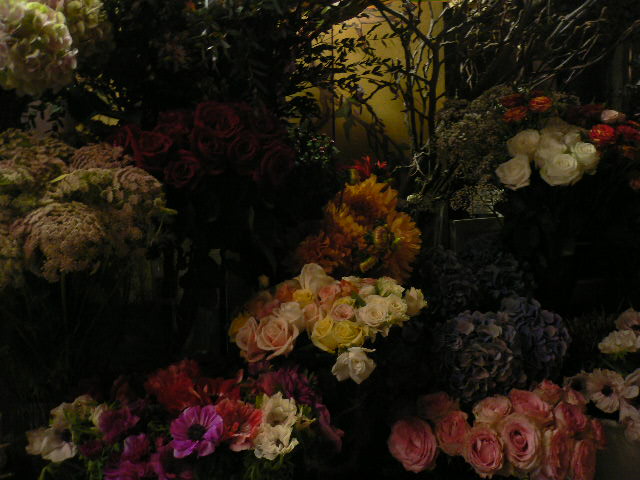 f0166173_02241.jpg