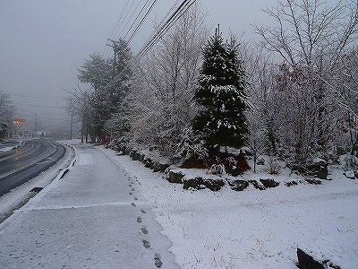 やっと雪が来た！_f0182173_10204784.jpg