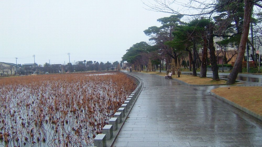 西堀橋！_e0065084_209997.jpg