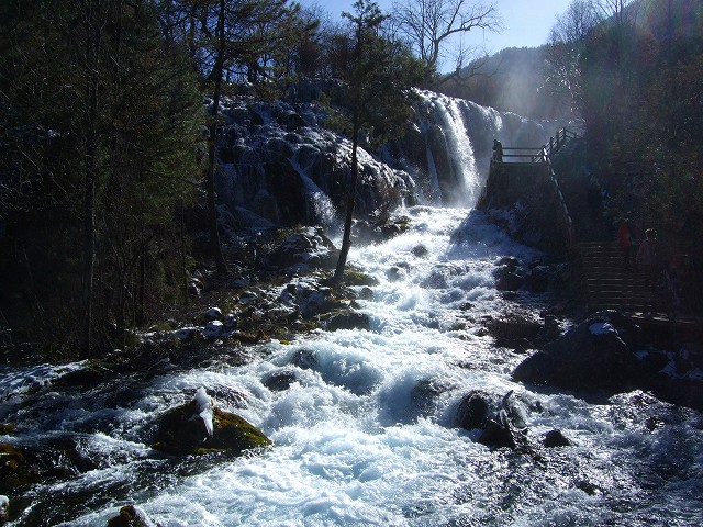 f0015584_85917.jpg