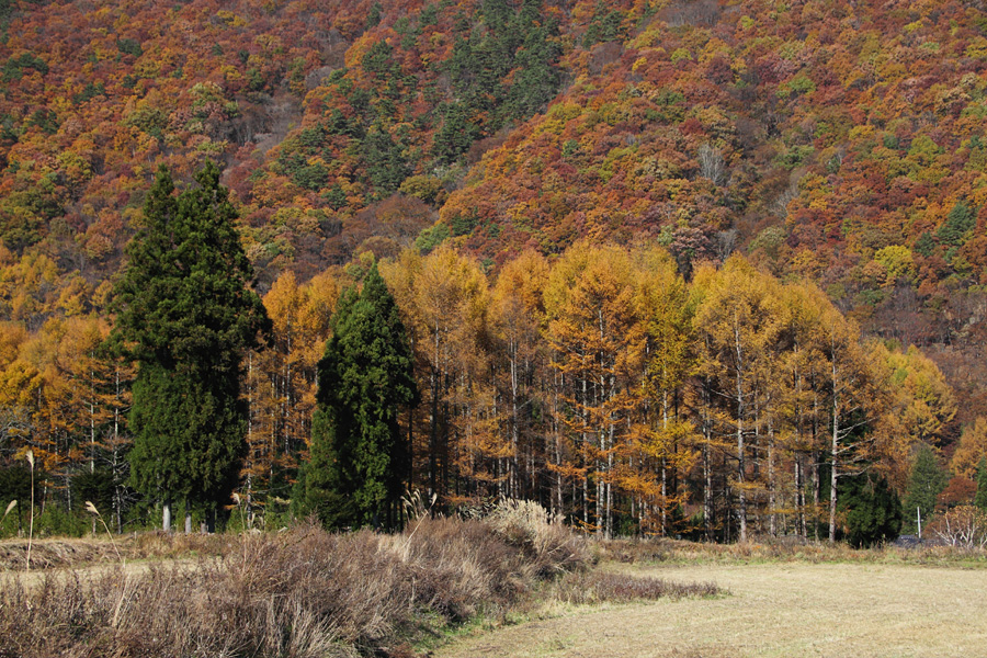 09.11.07：大門街道から塩田平、上田城跡、八島ヶ原３_c0007190_191217.jpg