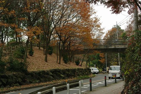 e0070891_19122185.jpg
