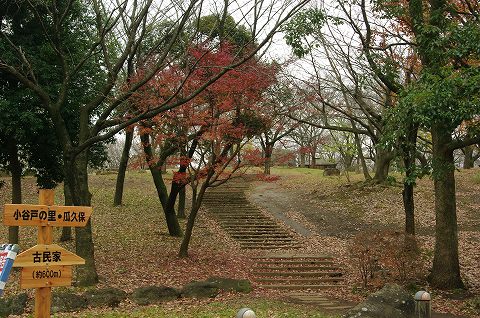 e0070891_20303197.jpg