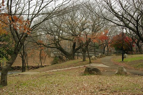 e0070891_20343128.jpg