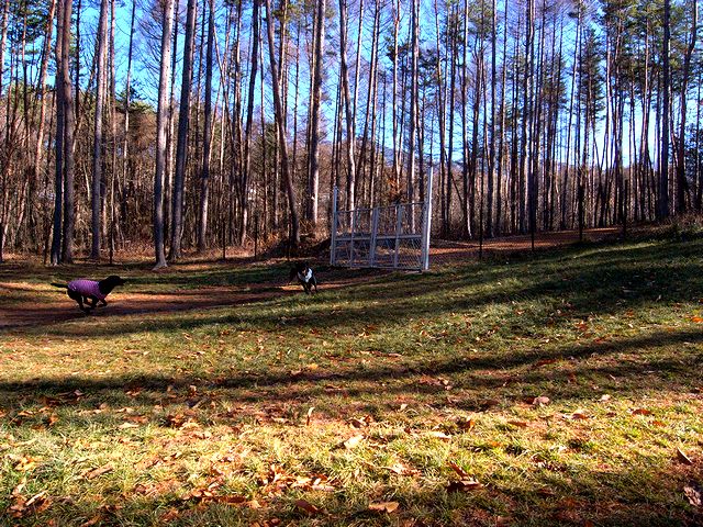 a0093592_123276.jpg