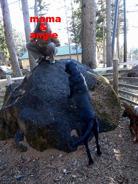 a0093592_1412826.jpg