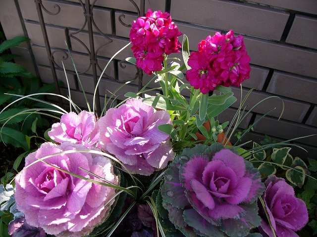 a0123003_2134949.jpg