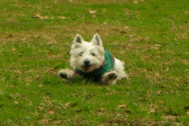 e0138005_036186.jpg