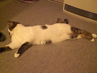 d0131207_12371153.jpg