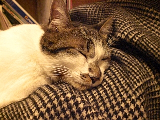 d0131207_12393713.jpg