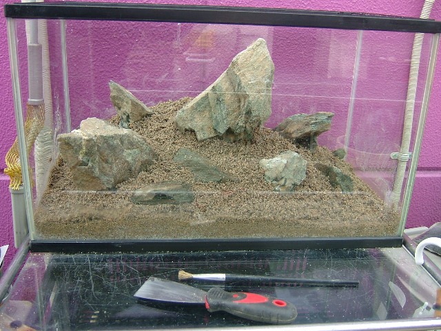 c0214310_18204920.jpg