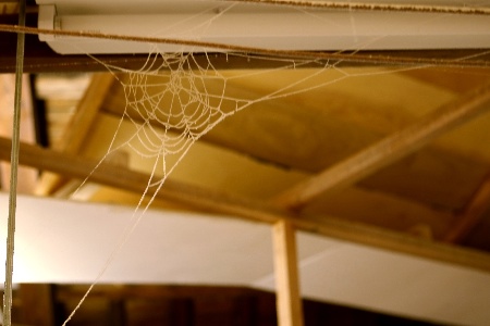 f0083310_1491479.jpg