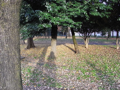 e0092221_19551761.jpg