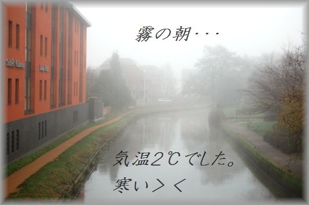 ど~っぷり!ロンドンクリスマス☆_d0104926_5482334.jpg