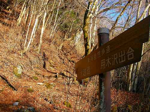c0015639_10292581.jpg