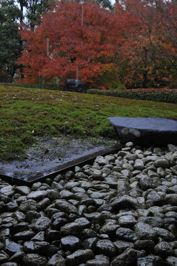 c0093046_8544397.gif
