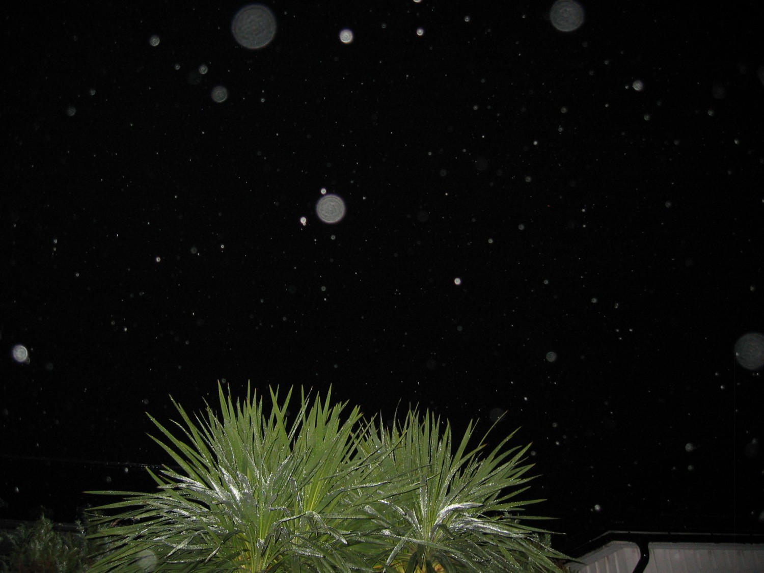 d0075649_8383995.jpg