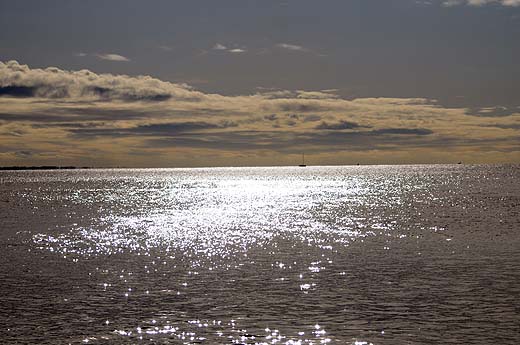 e0050753_11581.jpg