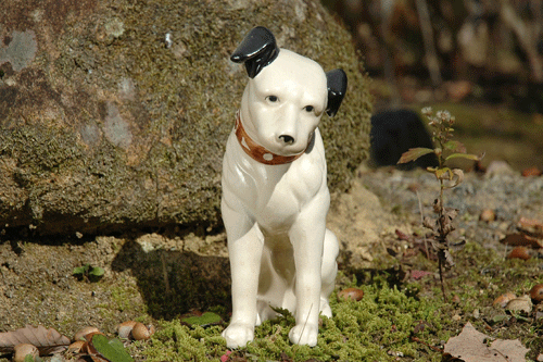 ビクター犬は ニッパー君 吉備高原から