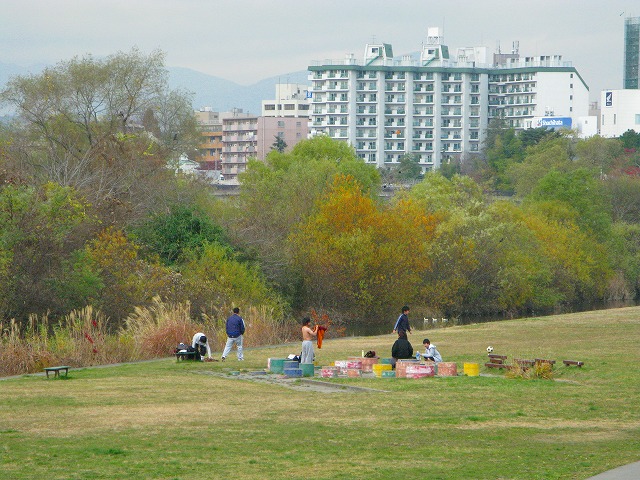 広瀬川～～宮沢橋付近_d0041158_1010153.jpg