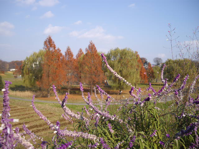 d0116059_11505753.jpg