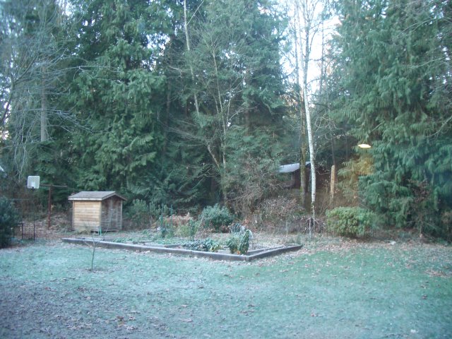 b0183670_11351872.jpg