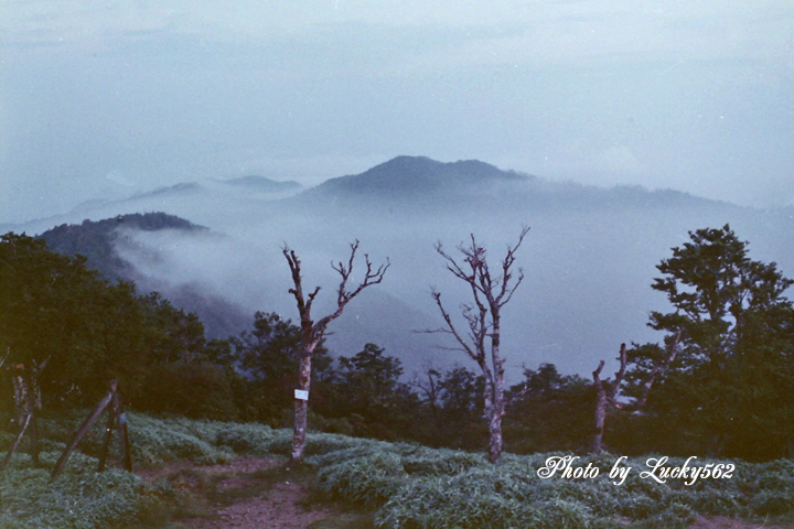 大台ケ原(昔の写真より)_e0002371_22281854.jpg