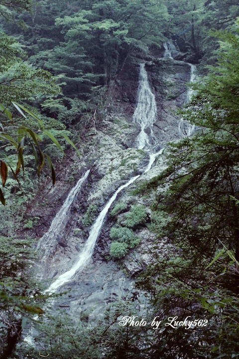 大台ケ原(昔の写真より)_e0002371_22292914.jpg