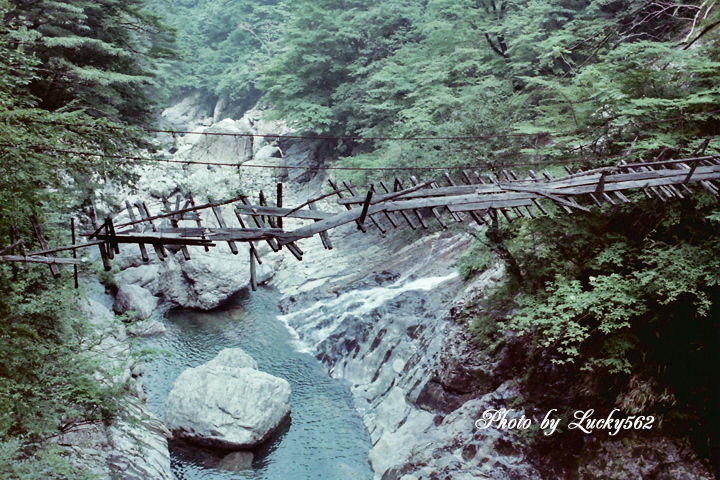 大台ケ原(昔の写真より)_e0002371_22295353.jpg