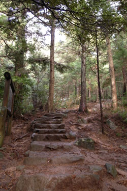 筑波山 _b0053472_23473086.jpg