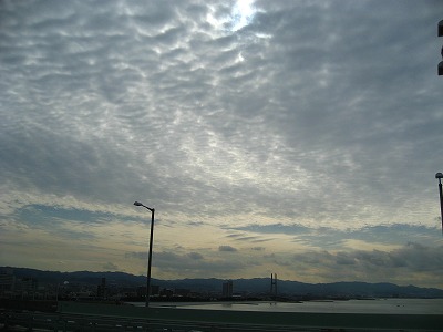 e0184077_11338.jpg