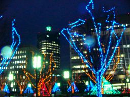 c0072379_2239412.jpg