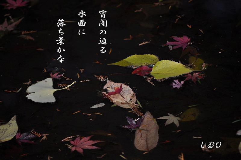 往く季節に・・・<歌>_c0187781_21385237.jpg