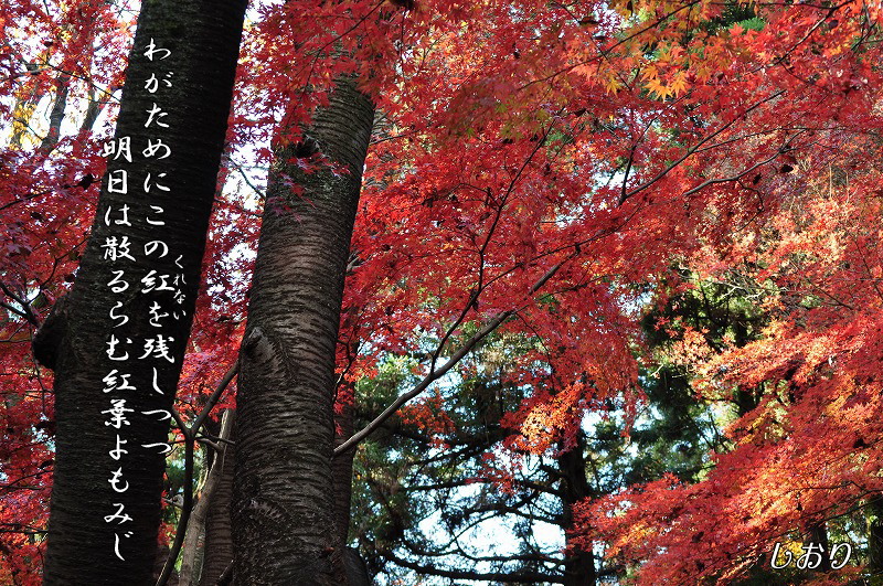 往く季節に・・・<歌>_c0187781_2149554.jpg