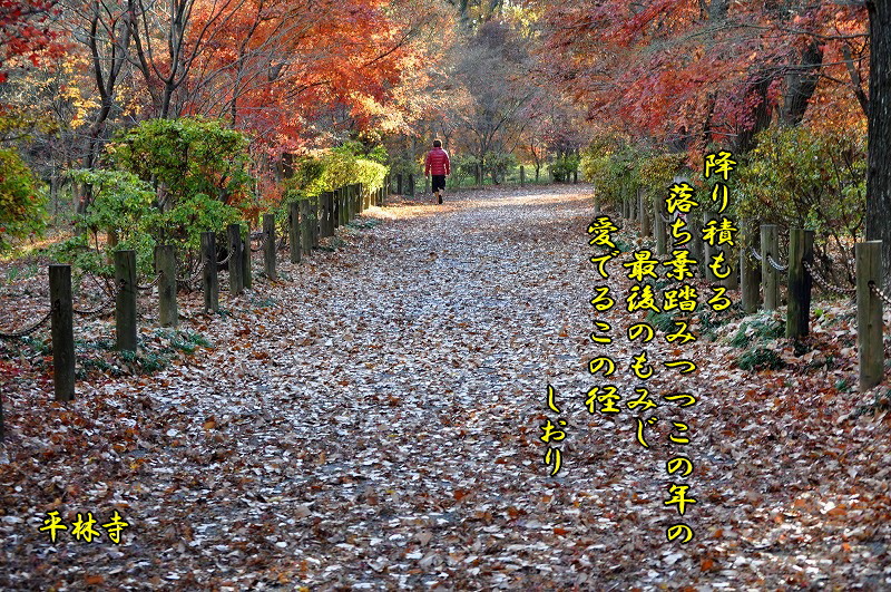 往く季節に・・・<歌>_c0187781_935430.jpg