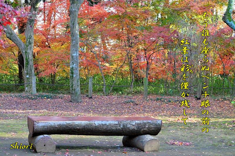 往く季節に・・・<歌>_c0187781_9553831.jpg