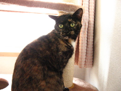 f0091785_1751689.jpg