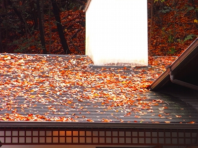 c0207890_22342848.jpg