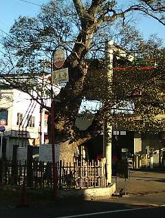 b0067795_70722.jpg